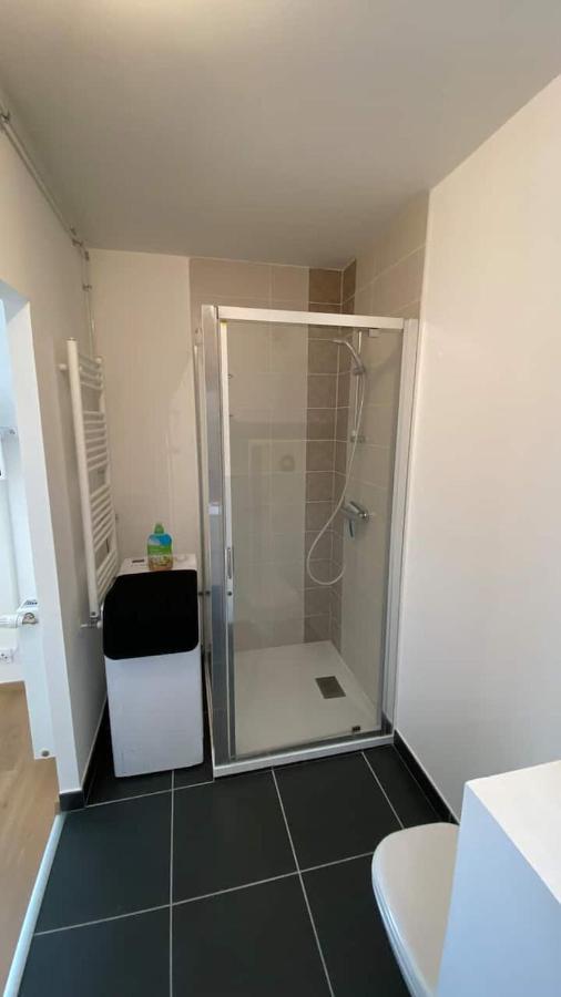 Magnifique Studio Avec Terrasse Et Garage Διαμέρισμα Chens-sur-Leman Εξωτερικό φωτογραφία